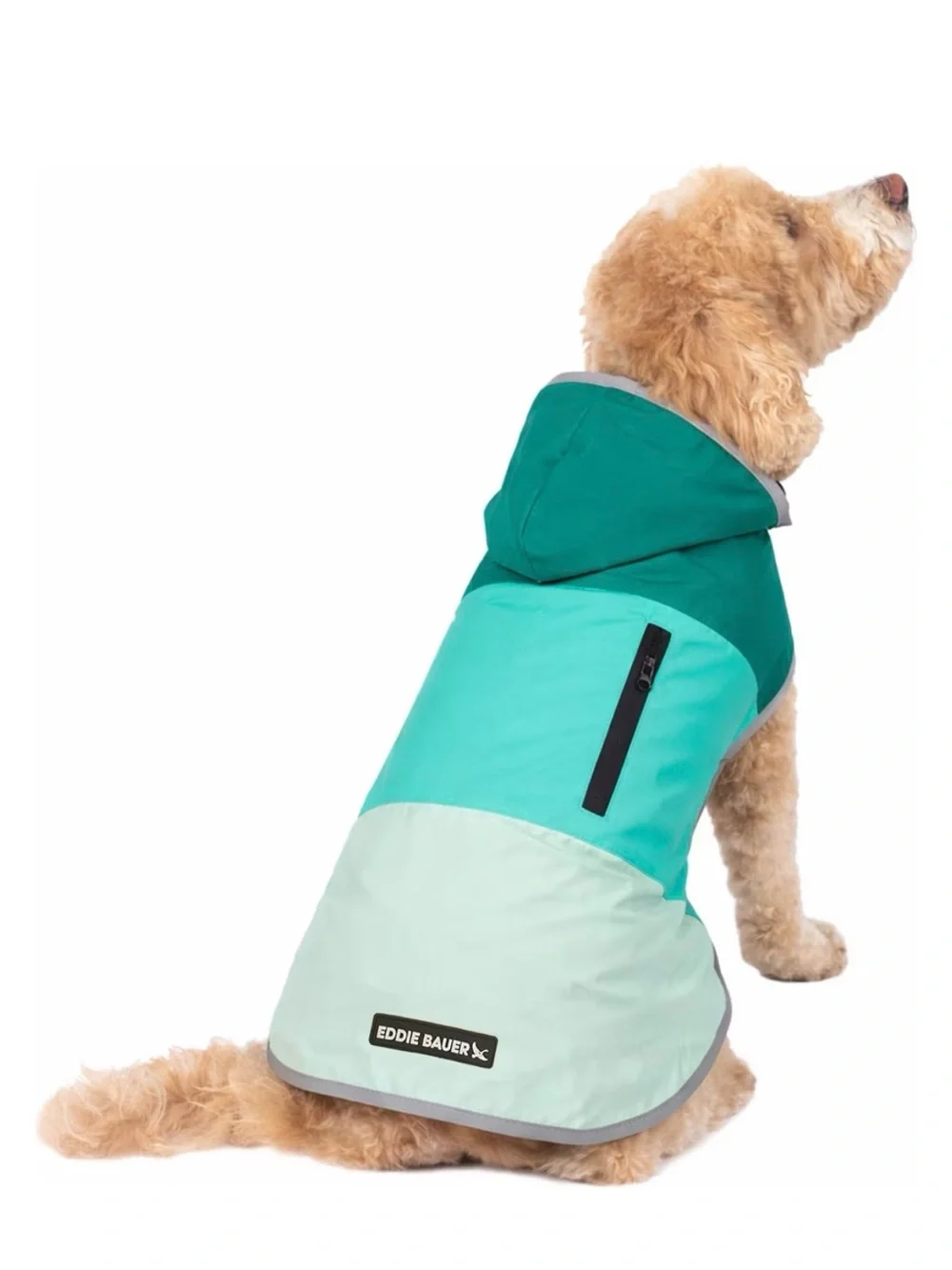 Eddie Bauer Ravenna Color-block Pet Windbreaker/ 🌧️ coat in Sea Spray Blues NWT